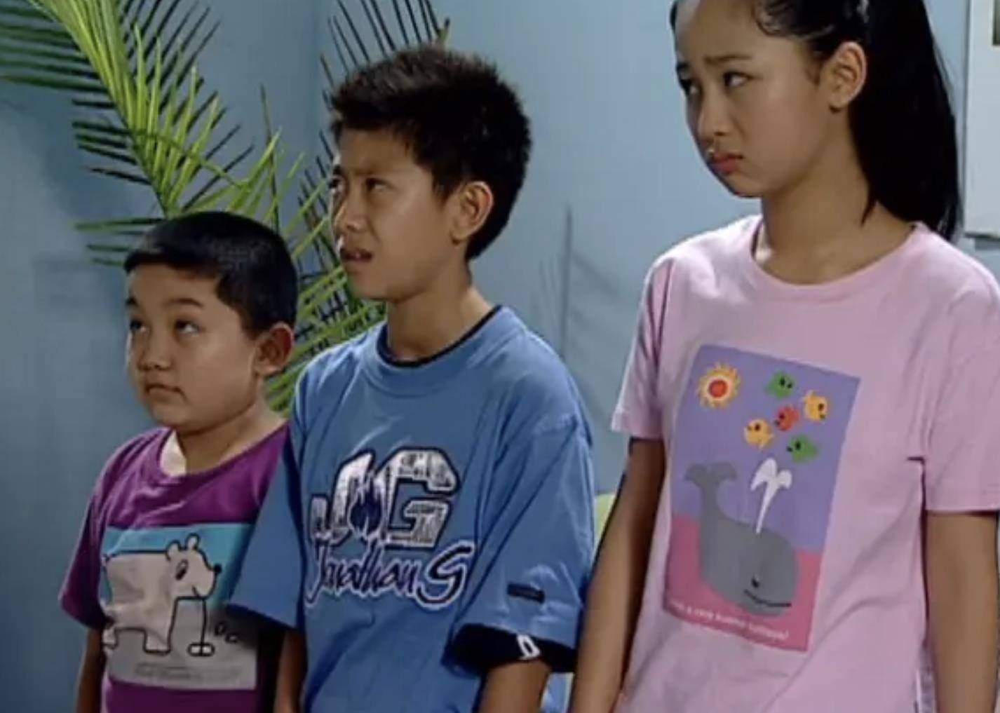 家庭情景剧《家有儿女》一经播出便走红全国,剧中刘星,夏雪,夏雨也成