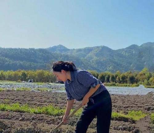 原创从分手带娃到粉丝千万乡愁沈丹究竟是如何逆袭成功的