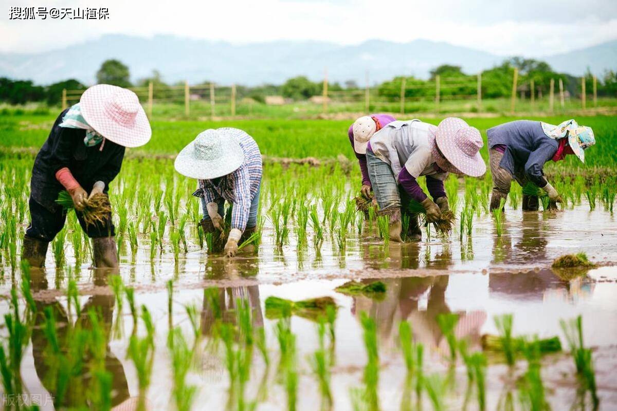 传统农业生产的技术包括