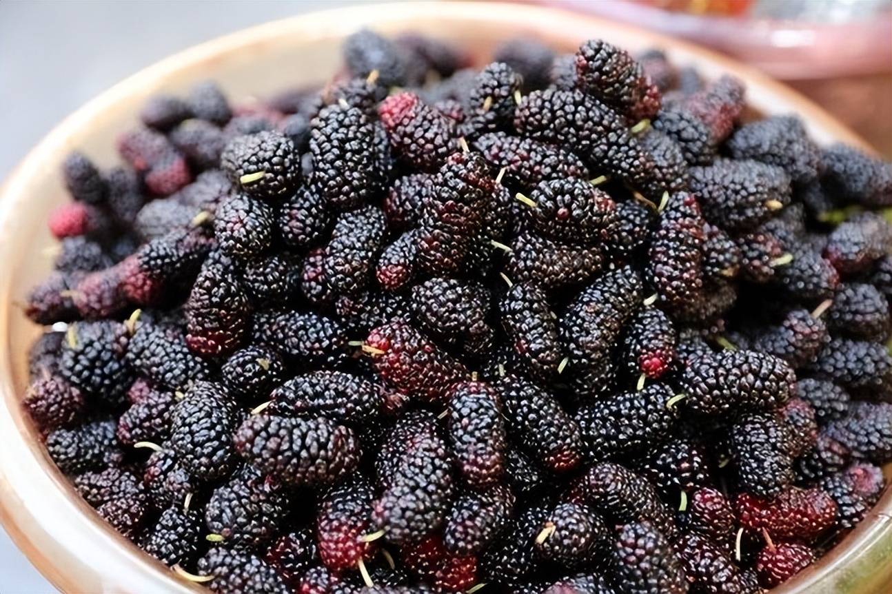 通便的水果第一名,告别便秘烦恼就靠它!