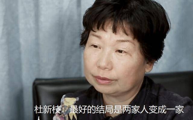 从这段时间二八事件的不寻常网友猜测杜新枝背后的人开始出手