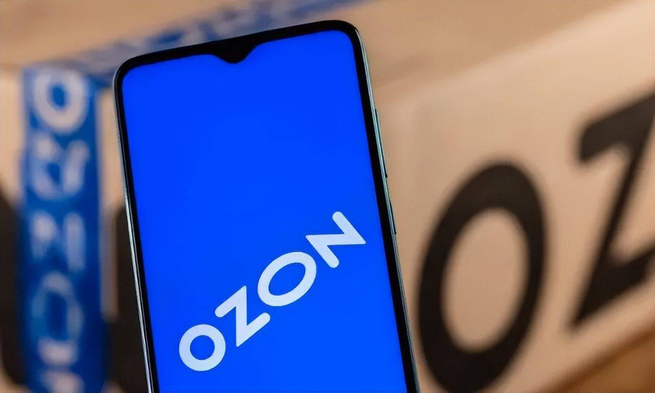 做ozon赚不挣钱？做ozon利润大吗(图2)