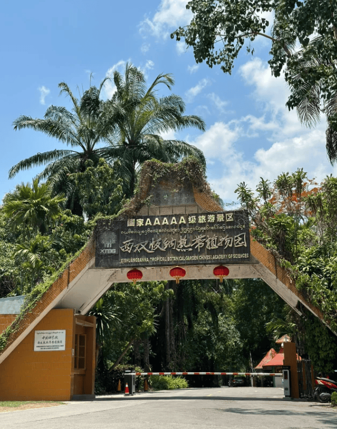 云南附近有哪些旅游景点好玩西双版纳和大理的游玩路线