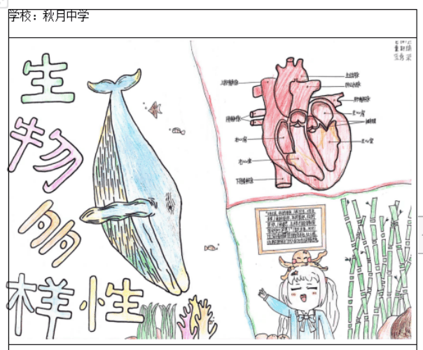 生物多样性海报手绘图片