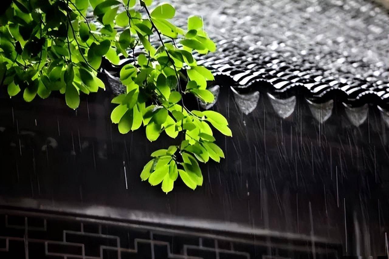 六首唯美的春雨诗,倚栏听雨,雨中观花,明媚整个春天