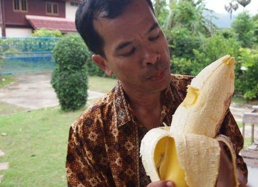 传说中最好吃的香蕉,居然长成这样?