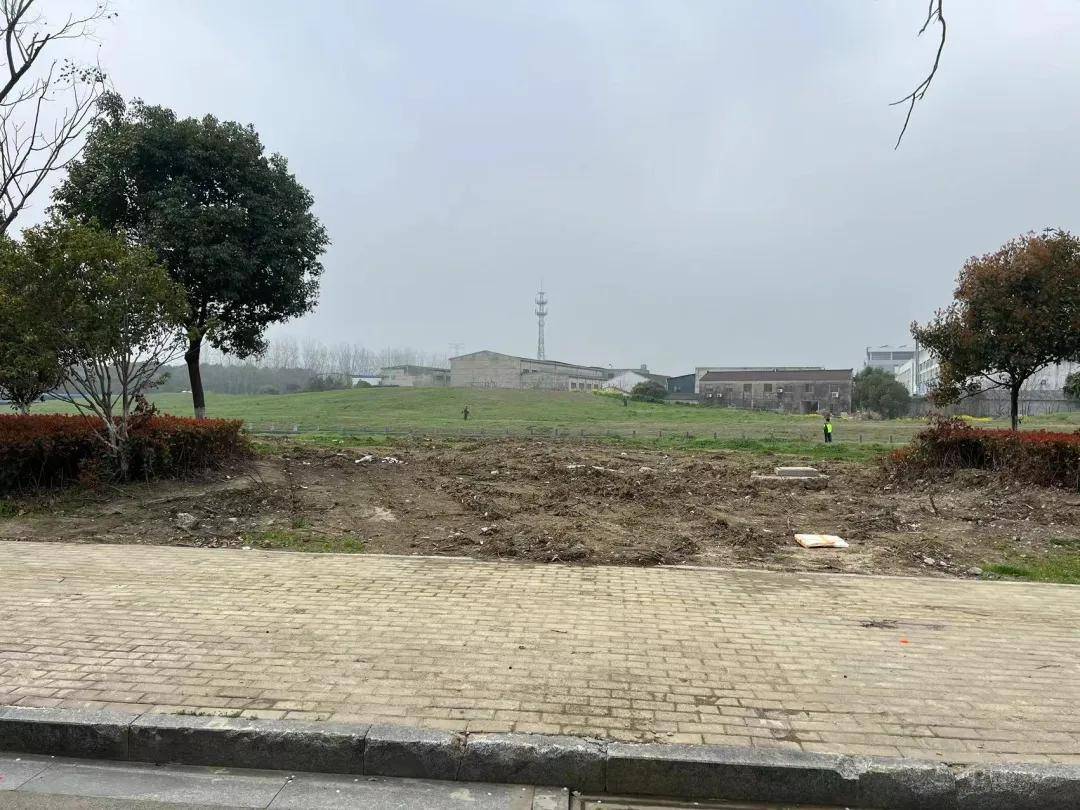 不负春光焕新颜苏州市吴中区郭巷街道推进环境综合整治工作