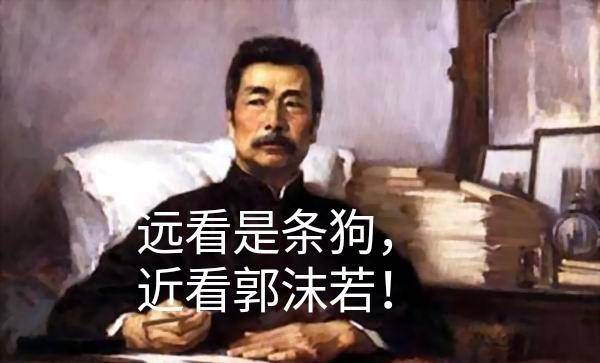 最惨的成语:本义明明是褒义词,夸人有前途,如今却用来骂人_鲁迅