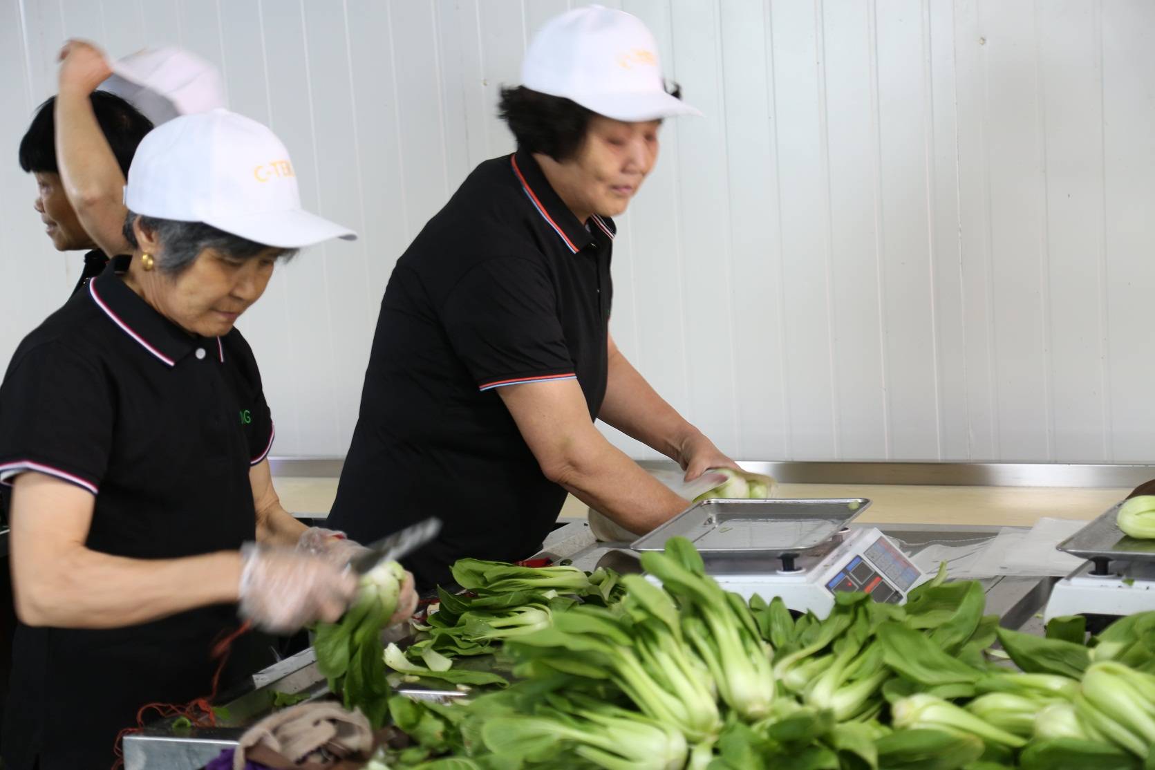黄浦蔬菜供应上海沪鑫餐饮保障食堂配送菜品新鲜