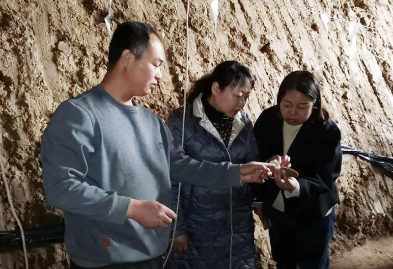 调研组先后深入黄土坎乡6个村,慰问了7名困难群众,陆媛与他们进行了