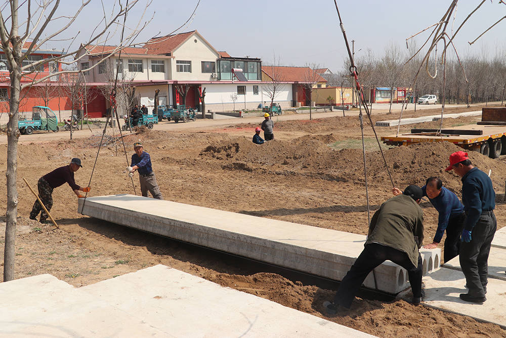 平度市新河镇:整合资源凝聚合力 让村庄更美村民更幸福