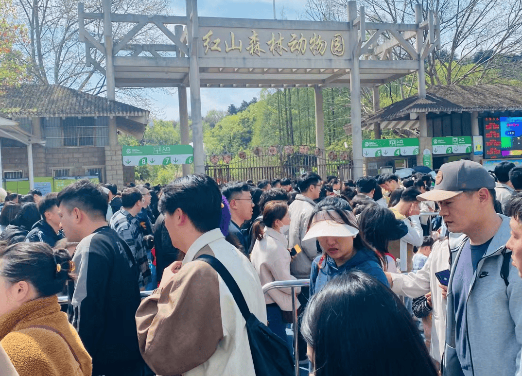 托育园幼儿园学学红山动物园