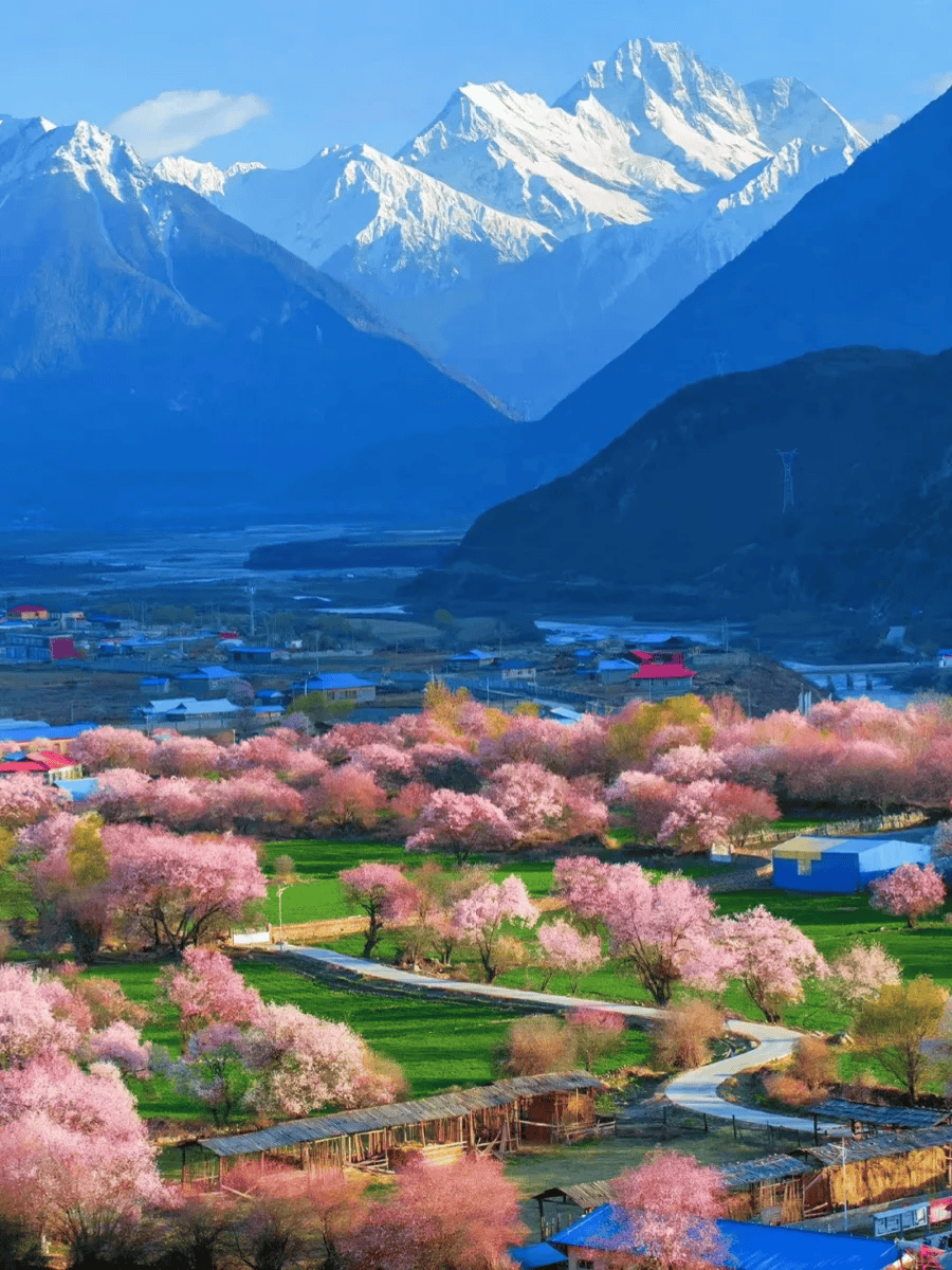 新疆旅游必打卡97夏塔古道:雪山最近的草原森林,适合徒步97琼