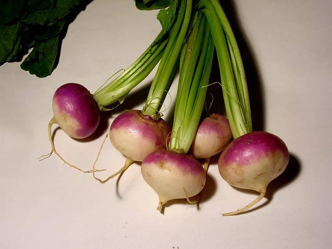 春天盛开的这种紫色小花可能是最冷门的野菜
