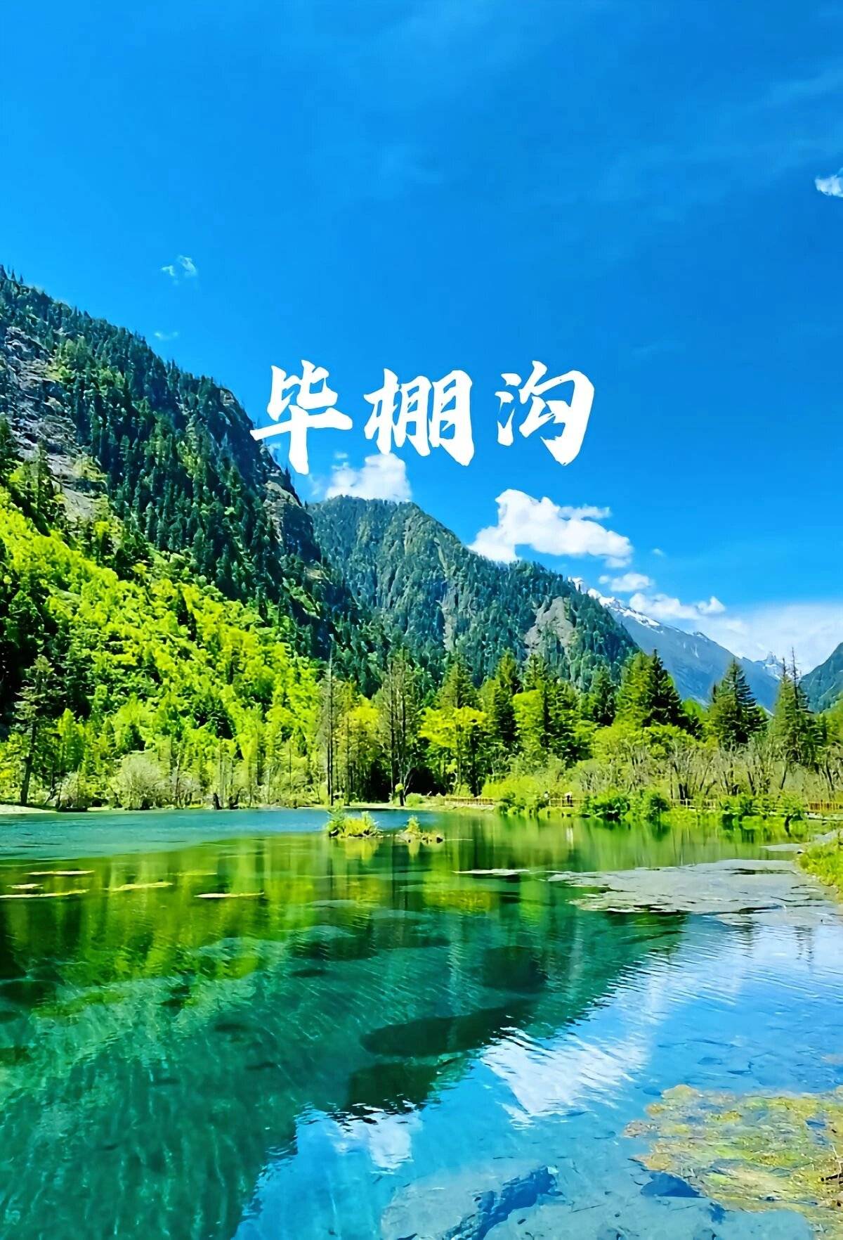 成都毕棚沟旅游四日游跟团价格最新消息黄龙4天3晚多少钱