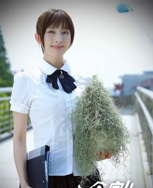 原创当古装美人遇上霸道总裁刘恺威张俪演绎正能量情侣