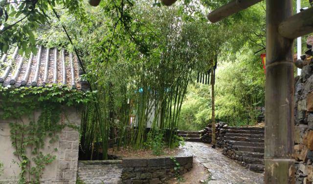 如果想进竹泉村,首先要花费98元购买门票,对于一个几小时就能看完的