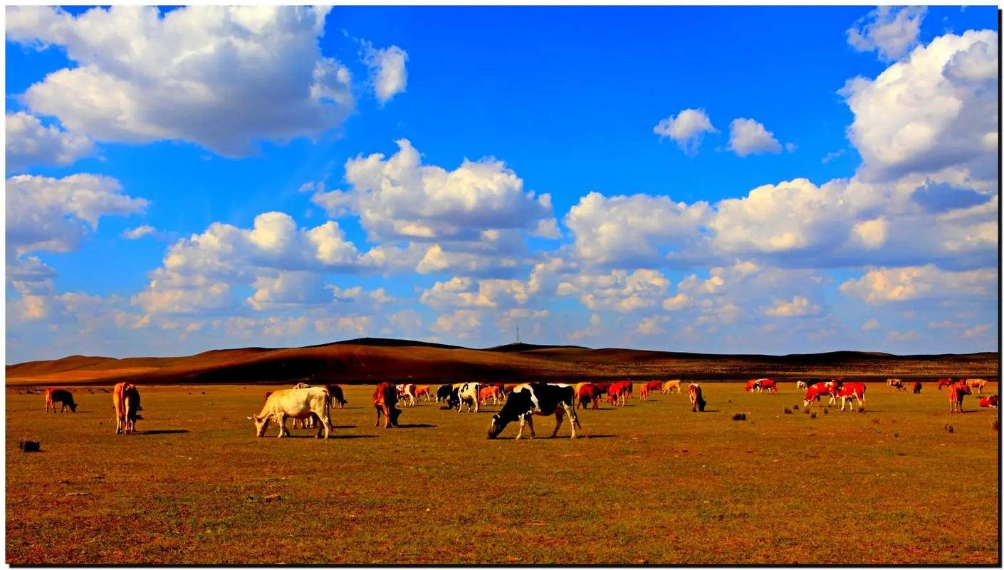 内蒙8天7晚旅游攻略及费用!_小林_草原_早餐