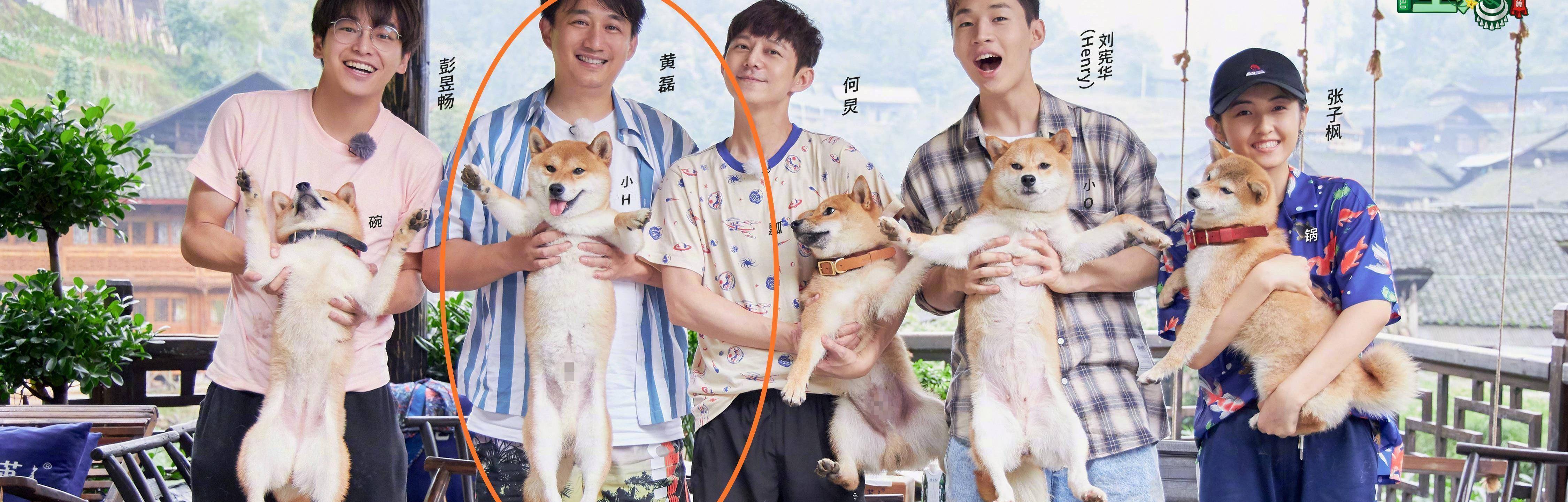 向往的生活4定档看到海报中黄磊的状态我没看错吧