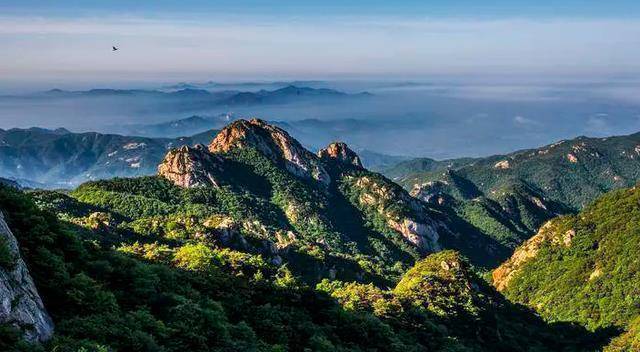 泰山风景名胜区电话图片