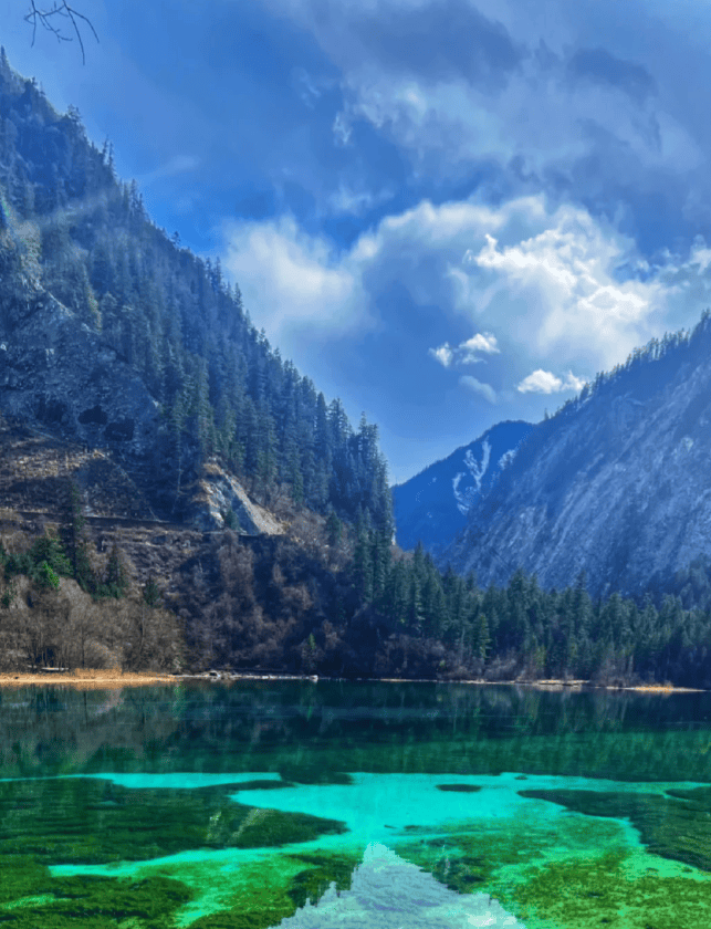 四川阿坝旅游一趟大概多少钱阿坝九寨沟4日游攻略自由行