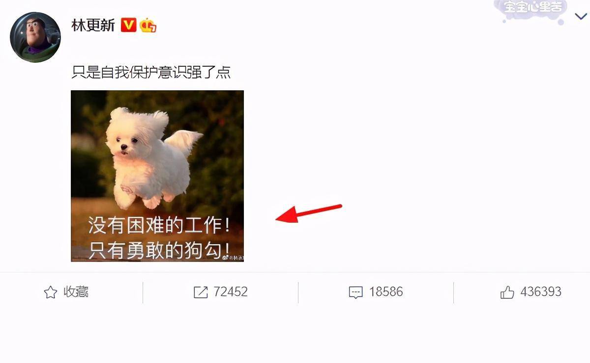 原创林更新回应为自己反黑晒表情包自嘲为小狗超话粉丝大咖被怒怼