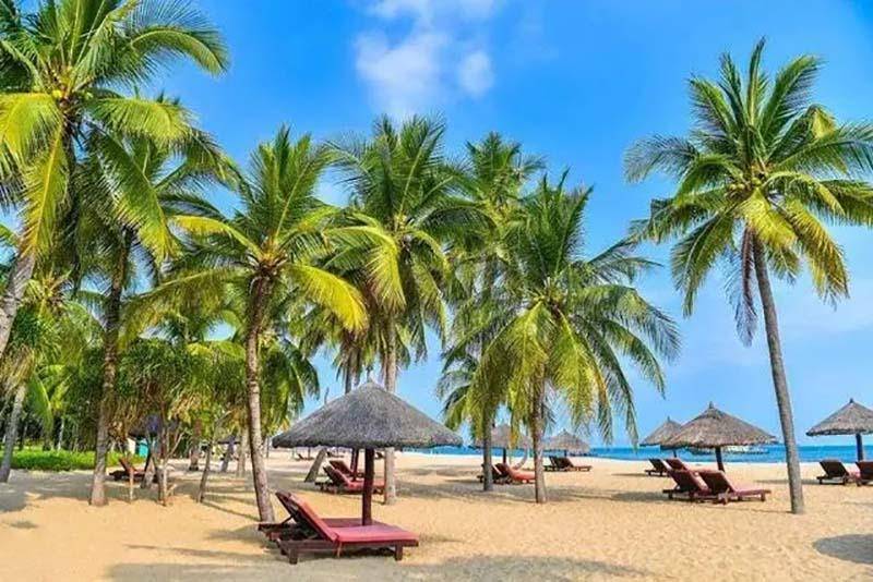 原创96年海南巨蟒为报恩甘当保姆与主人同眠还为其看家抓小偷