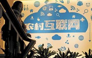 技术在农业农村各领域的发展应用,让更多农村居民共享互联网发展成果