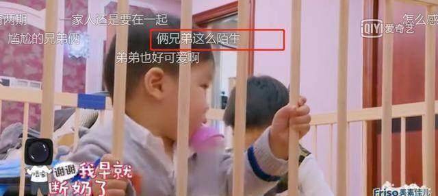 贾静雯举动获赞,黄圣依却被吐槽偏心!_安迪_妈妈_杨子