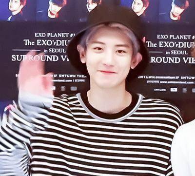 任豪_周震_朴灿烈