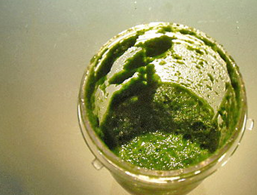 step3.菠菜放入果汁机或调理机内,并加入半杯的水.step2.