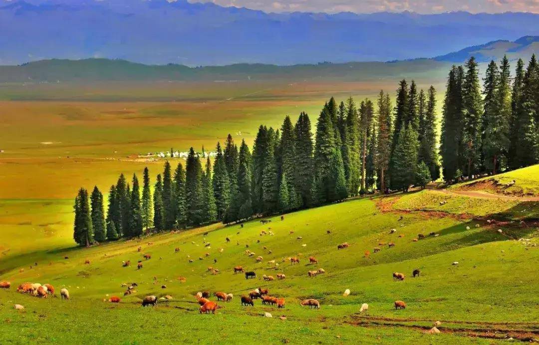 伊犁旅游有什么好看的