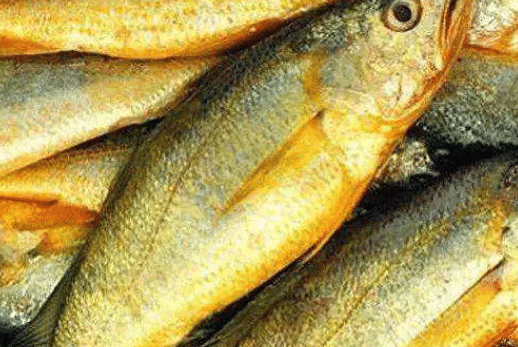 原创鱼翅燕窝算什么中国顶尖食材全是天价过过眼瘾就行了