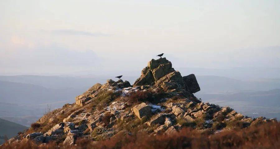 2023年国家科技奖公示：海尔美的长虹美菱等入选-家电圈官网