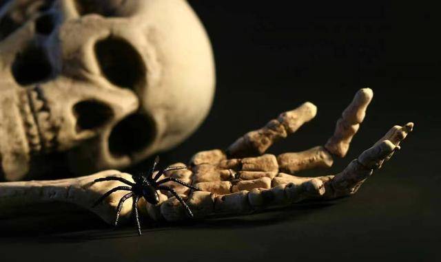 杭州杀人分尸楼栋没人敢住人为何害怕同类尸体却不害怕动物的