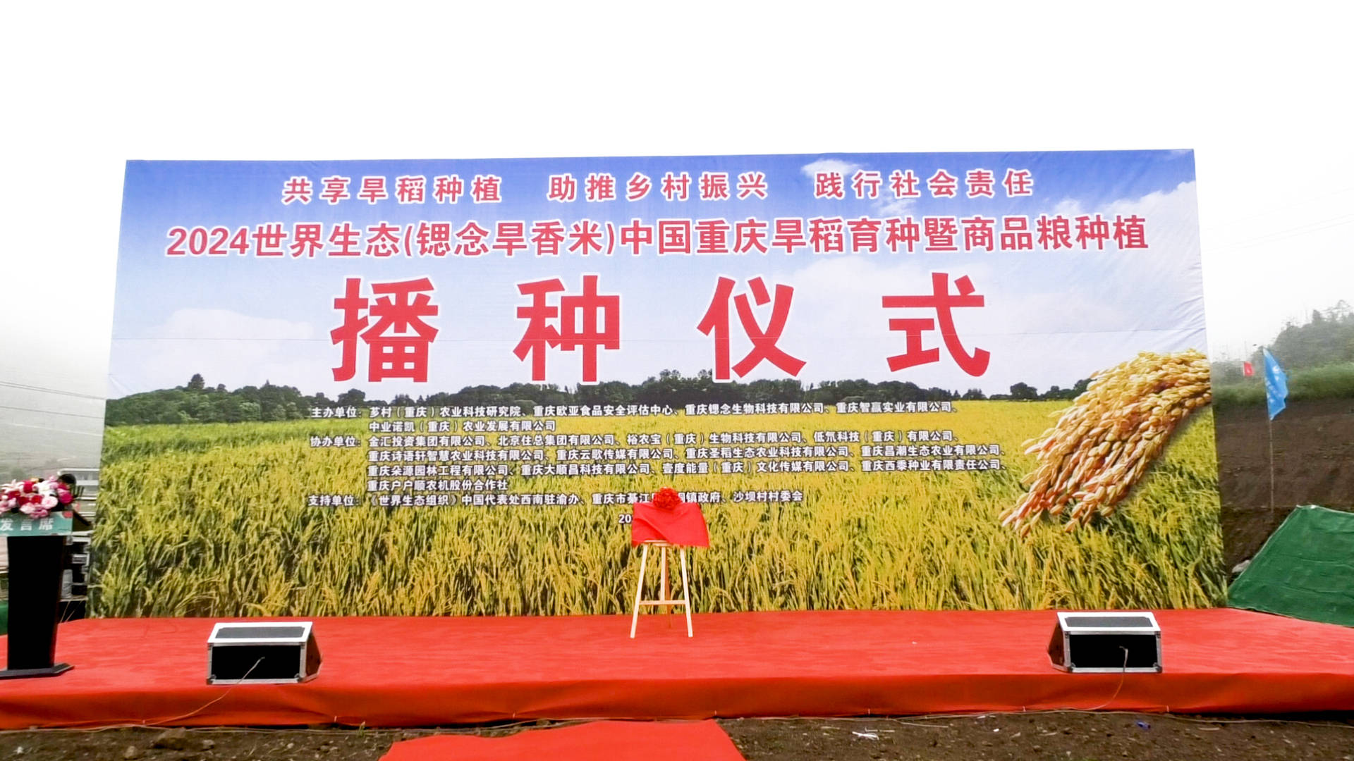 重庆旱稻育种暨商品粮种植播种仪式在万盛经开区举行,助力和美乡村