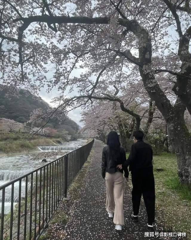 原创李咏遗孀哈文在日本庆祝55岁生日背爱马仕包包出入高档餐厅