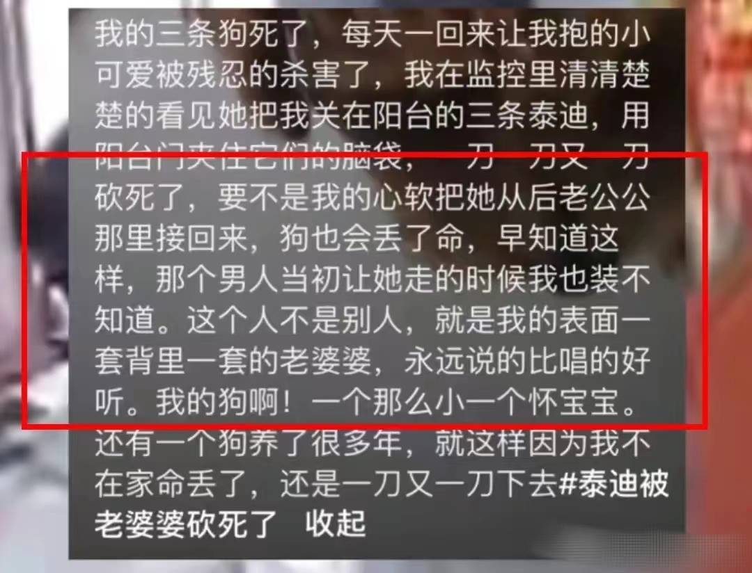 后续!砍死三条狗的婆婆已回老家,儿媳再养狗