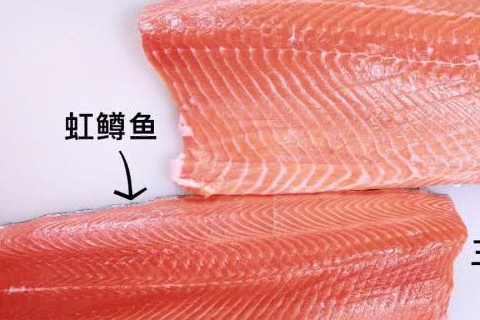 原创最容易让人混肴的6种鱼当心鱼贩子狸猫换太子长得太像