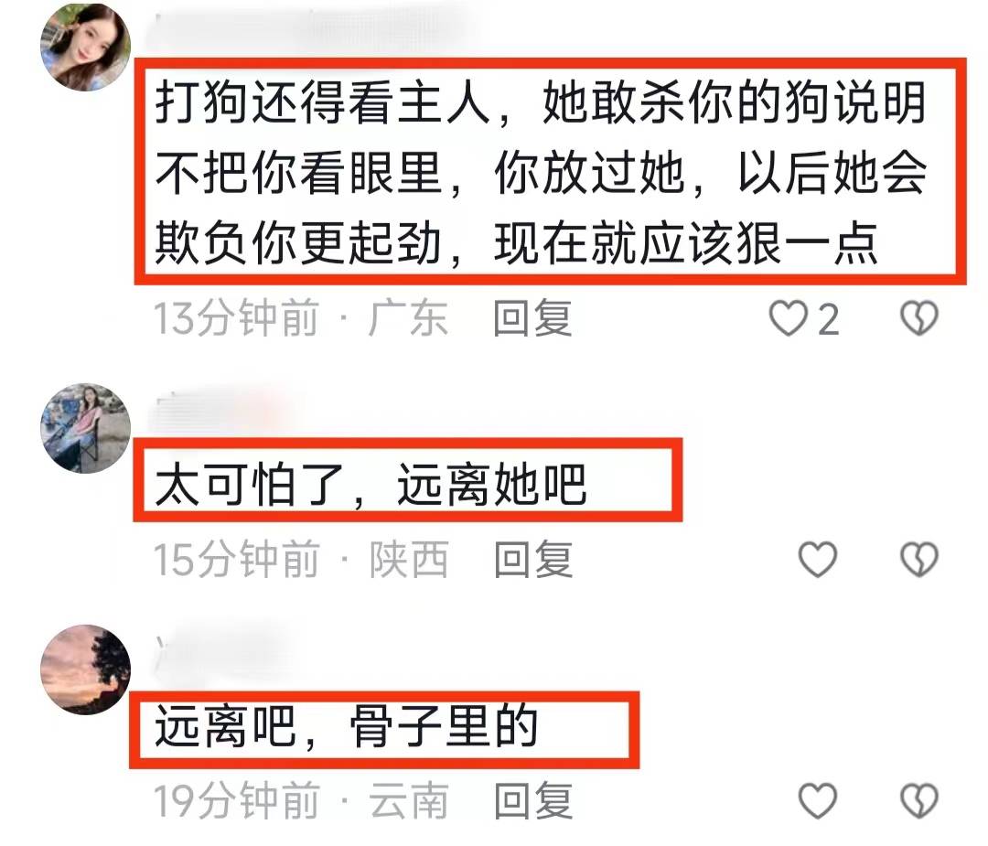 后续!砍死三条狗的婆婆已回老家,儿媳再养狗