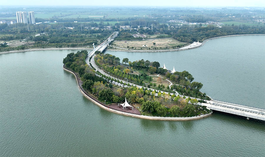 原创南京号称是鸟类天堂的湖泊被誉为南京的北湖离市区不远