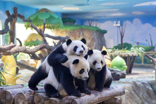 好汉串串:冒椒火辣,花吃嘴,歆瑞源烤肉:赞匠川式,爆滋滋,贰幺幺烤鱼