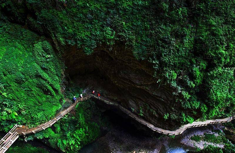 五一假期去重庆黑山谷等4日游旅行社报价重庆旅游4天价格多少费用行程