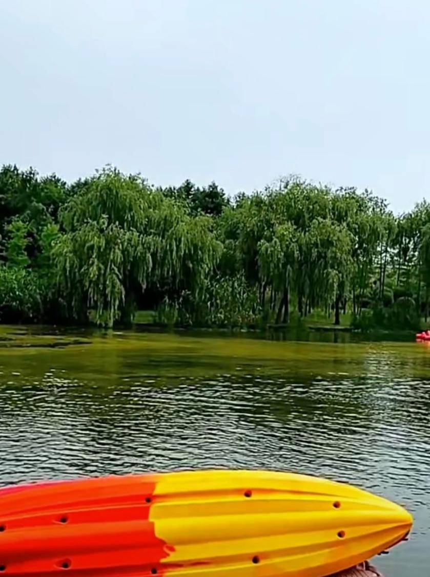 合肥包河区滨湖国家森林公园城市巅峰之美