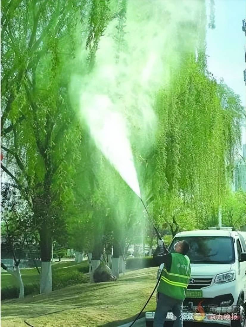 商丘日报融媒体记者 宋云层 摄前几年,每到这个时候,漫天飞舞的柳絮