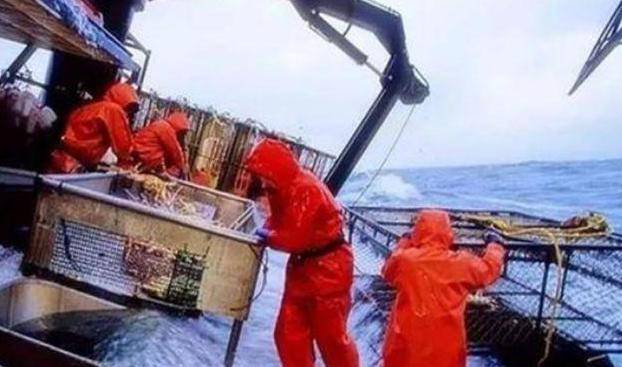 原创危险的职业捕蟹人5天就能赚69万平均每7天死1人