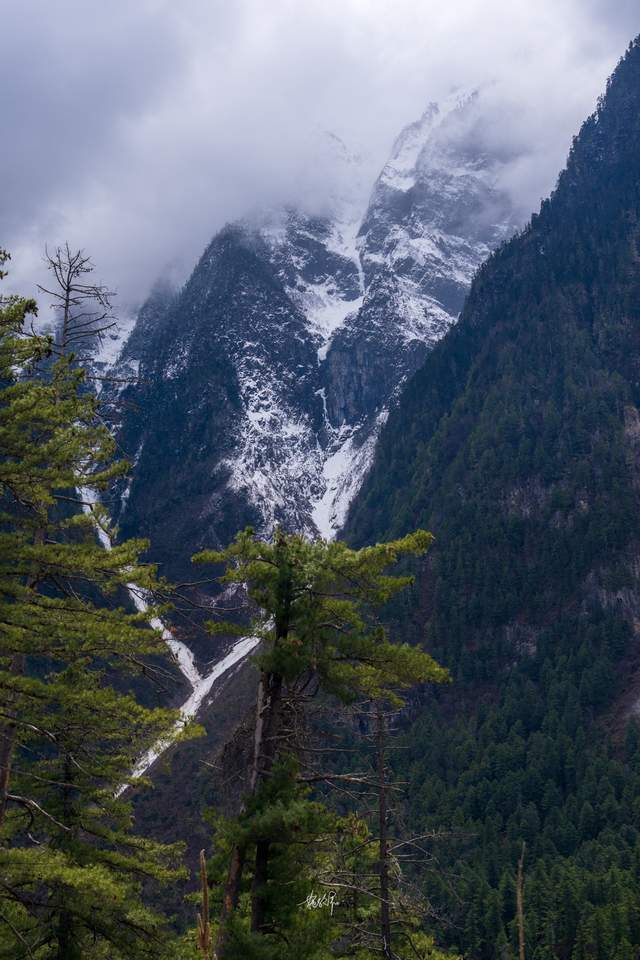 尼屋到八盖地图上没有的路藏在深山里的易贡大峡谷