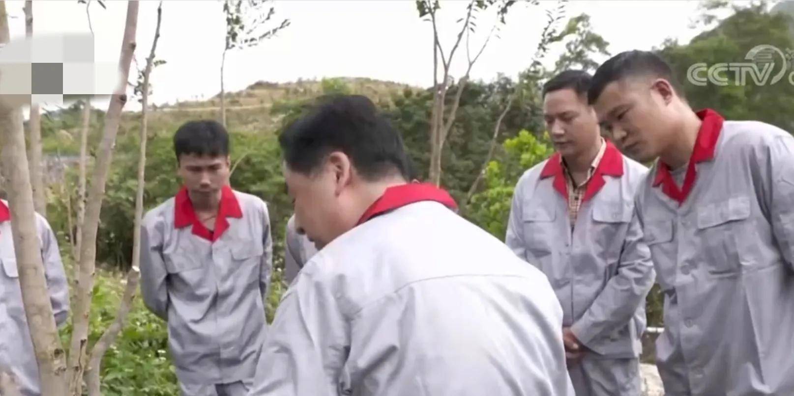 海南男子种树10年赔400万,后在树干中发现秘密,年赚2300多万_严斌_马