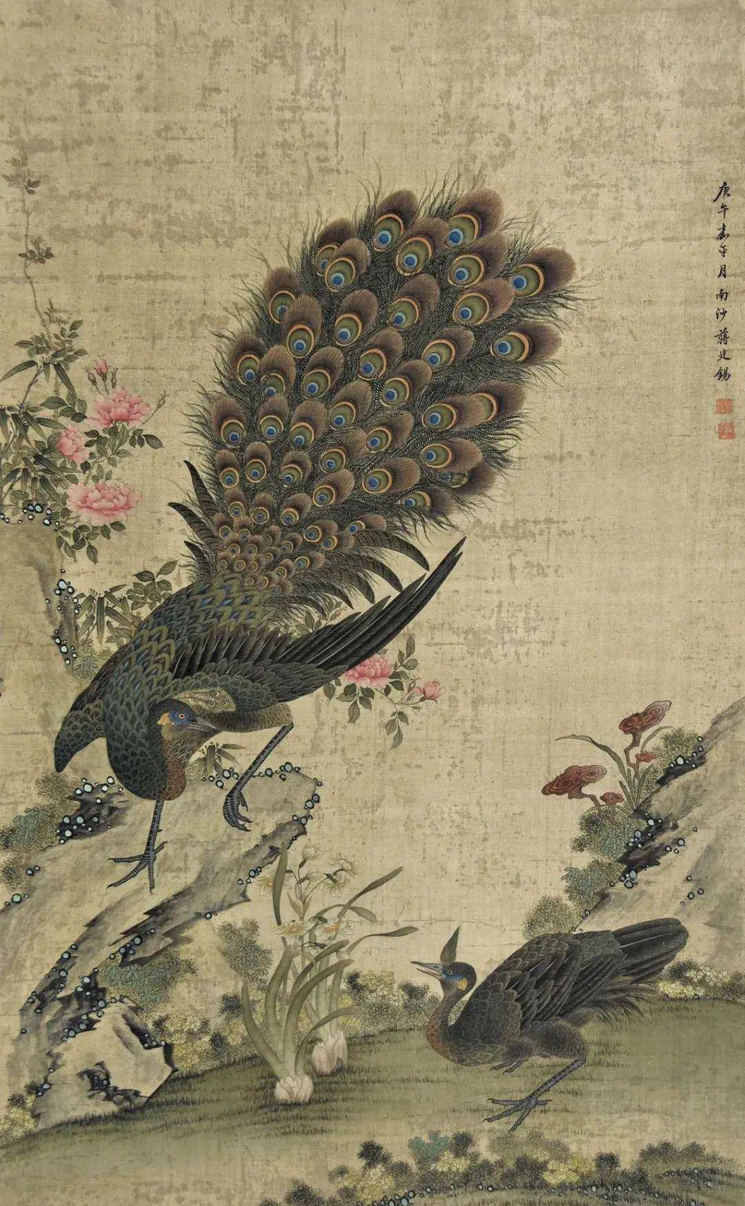 从肉禽到神鸟孔雀消亡史