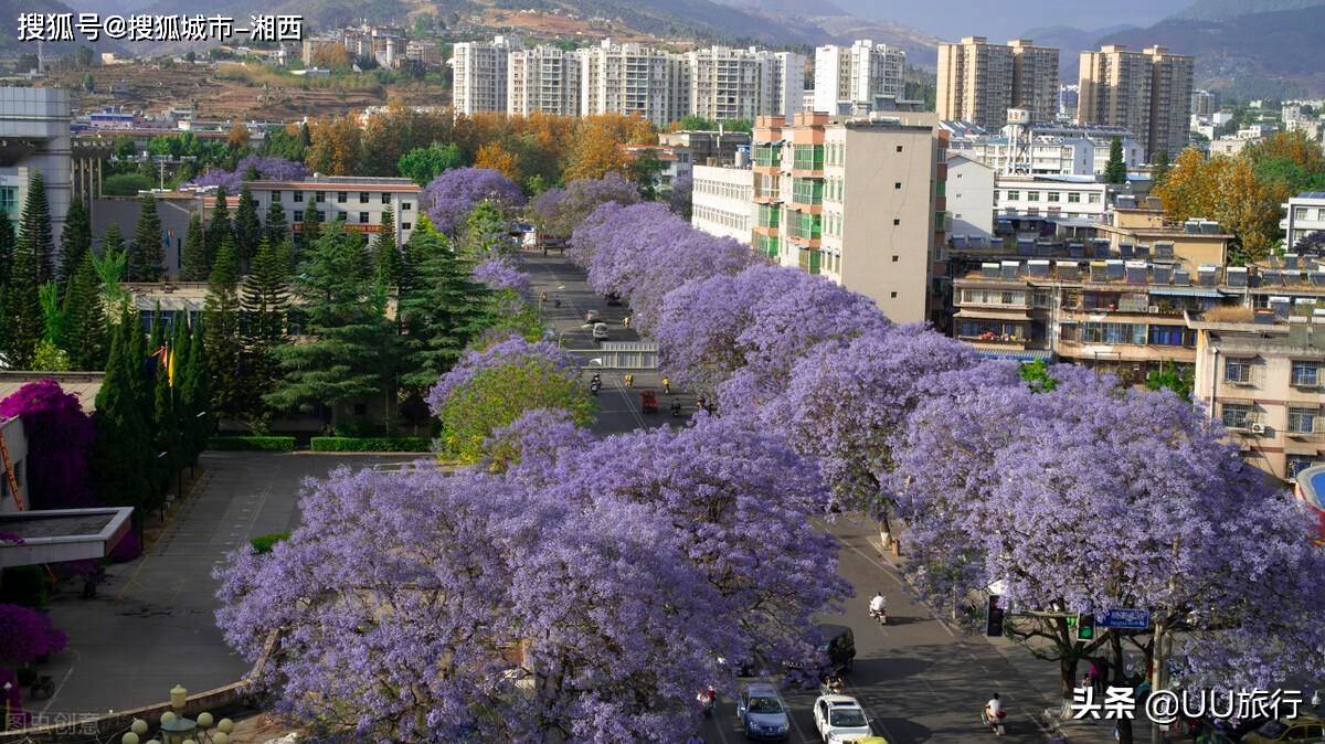 一到5月就被挤爆的两个城市旅游街拍热门丨昆明和西昌